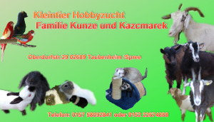 Dieses Bild zeigt das Logo des Unternehmens Kleintier hobbyzucht Familie kunze und kaczmarek 